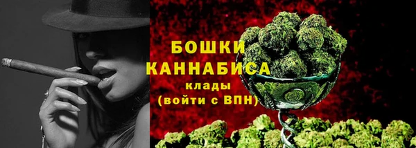 МДПВ Медногорск
