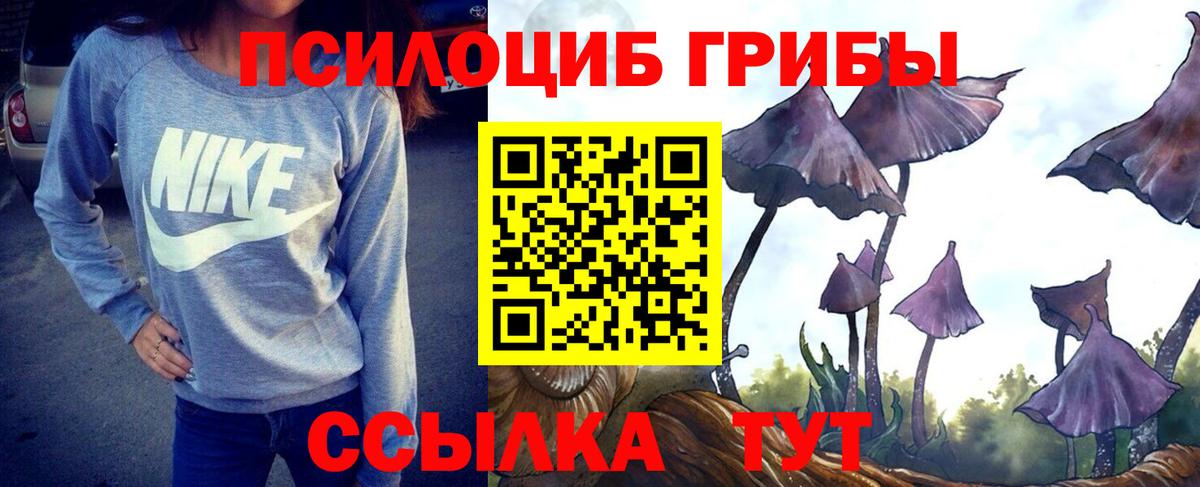 Псилоцибиновые грибы мицелий Ирбит